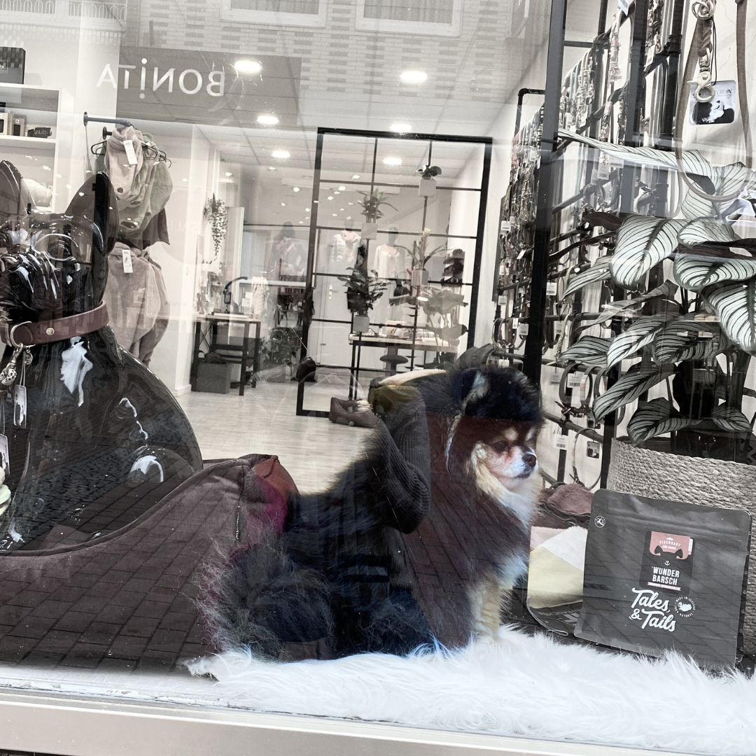 PUPPYROPE®: Wofür steht Puppyrope? Banner