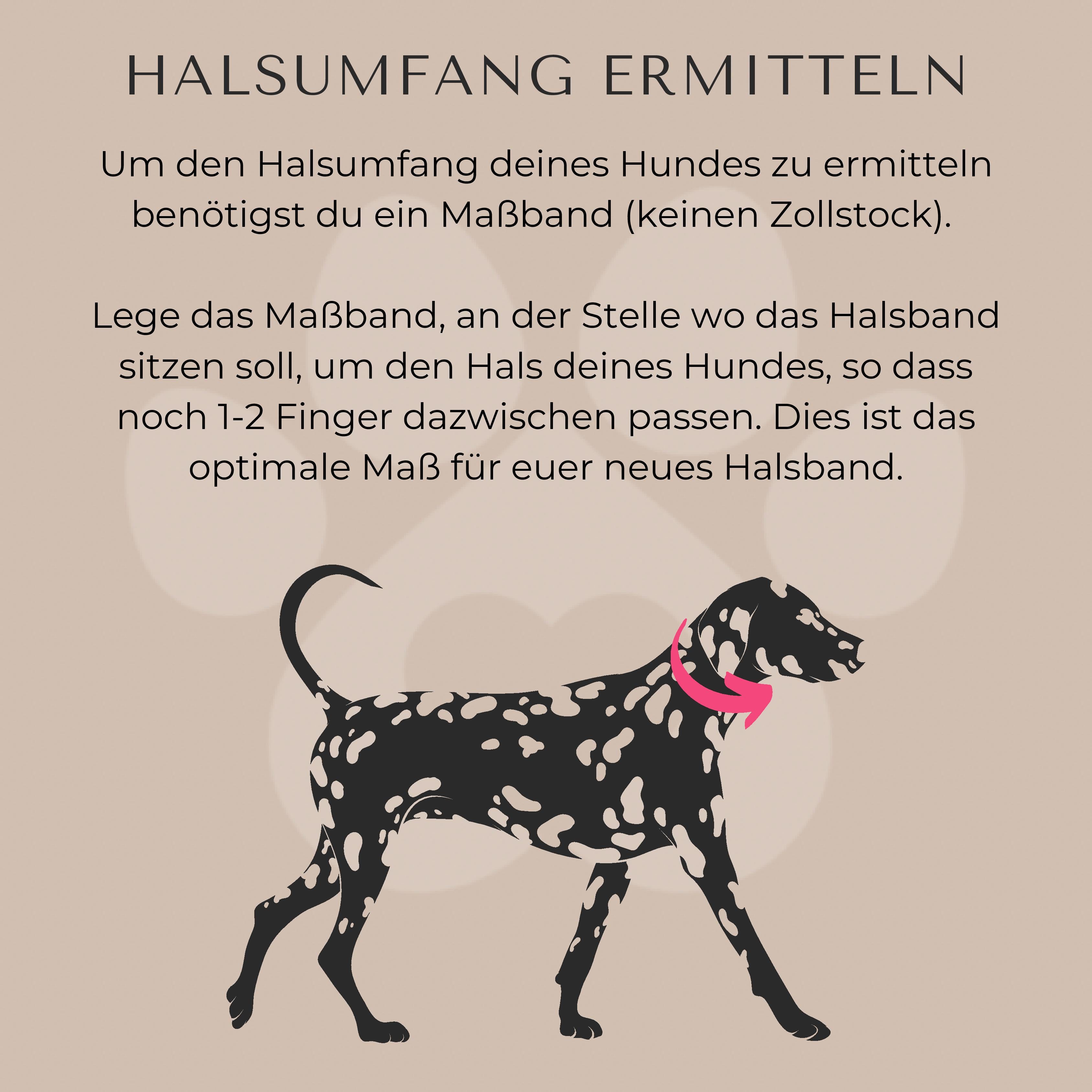 PUPPYROPE®: Halsumfang ermitteln Banner