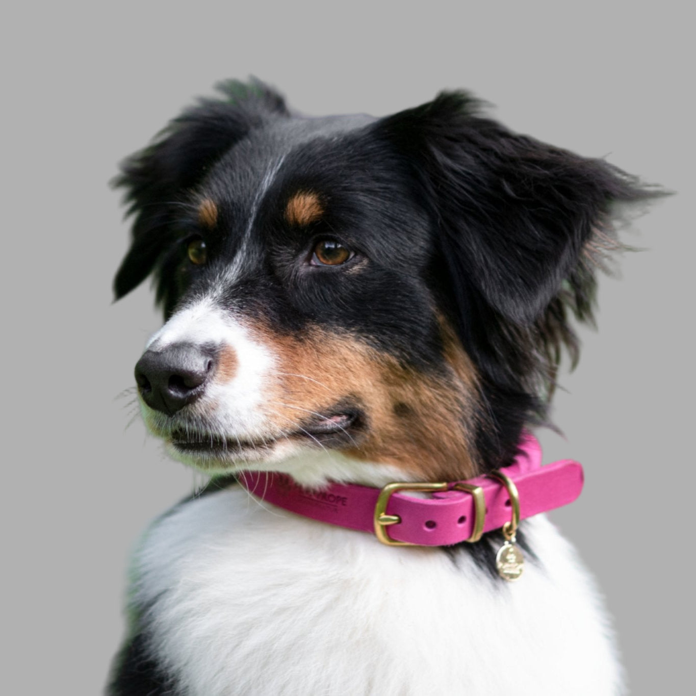 Halsband Asuna - Konfigurator - PUPPYROPE MANUFAKTUR®