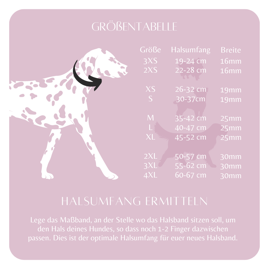 Halsband Wilma Double - Konfigurator - DIES HUND DAS by PUPPYROPE