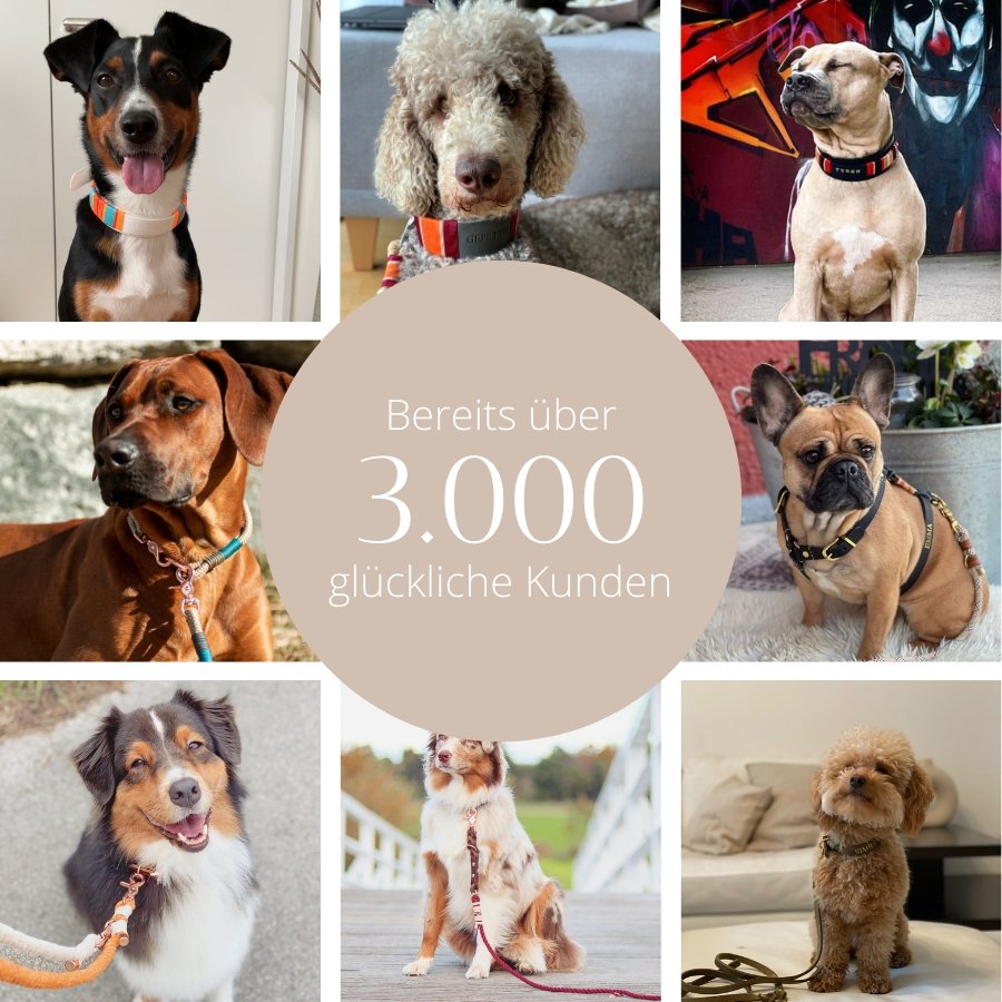 Halsband Wilma Double - Konfigurator - DIES HUND DAS by PUPPYROPE