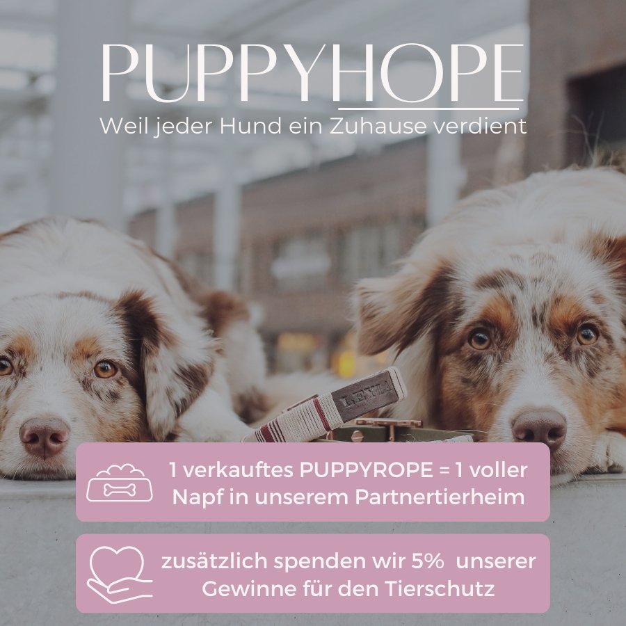 Leine Mila - Konfigurator - DIES HUND DAS by PUPPYROPE