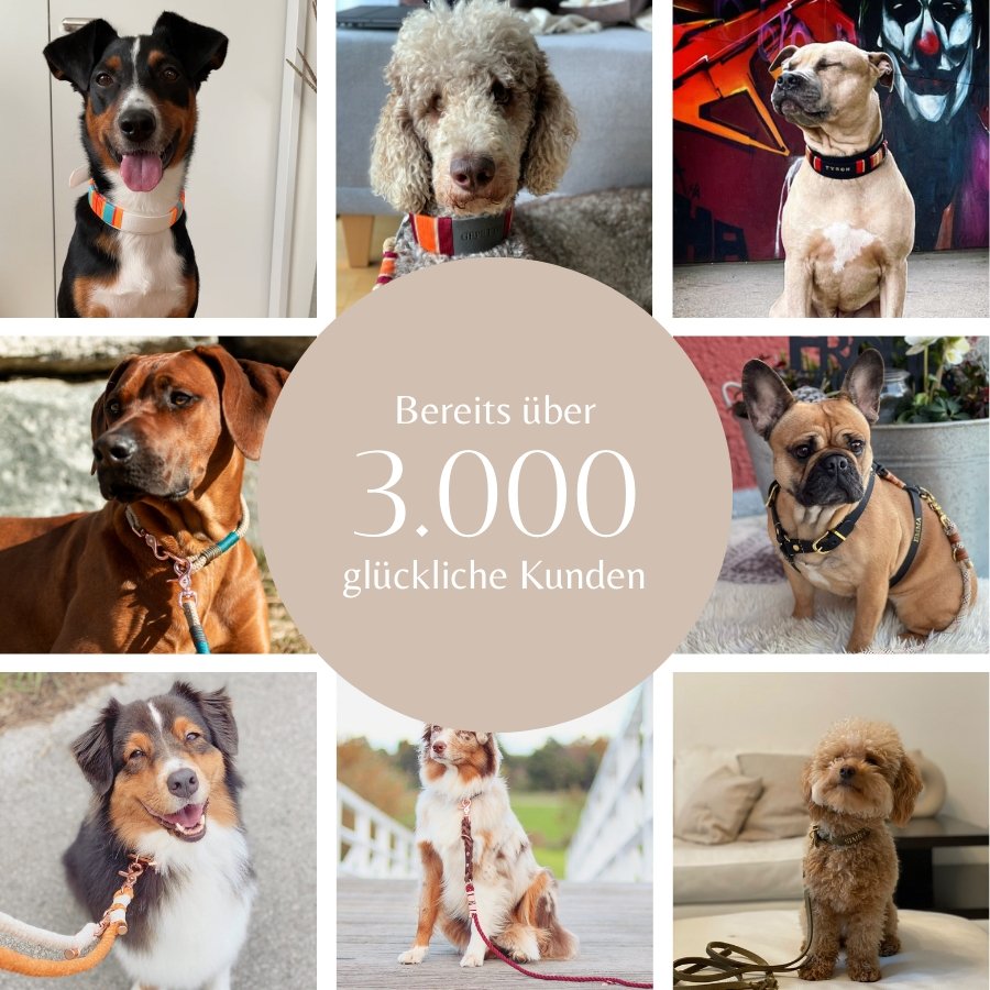 Leine Mila - Konfigurator - DIES HUND DAS by PUPPYROPE