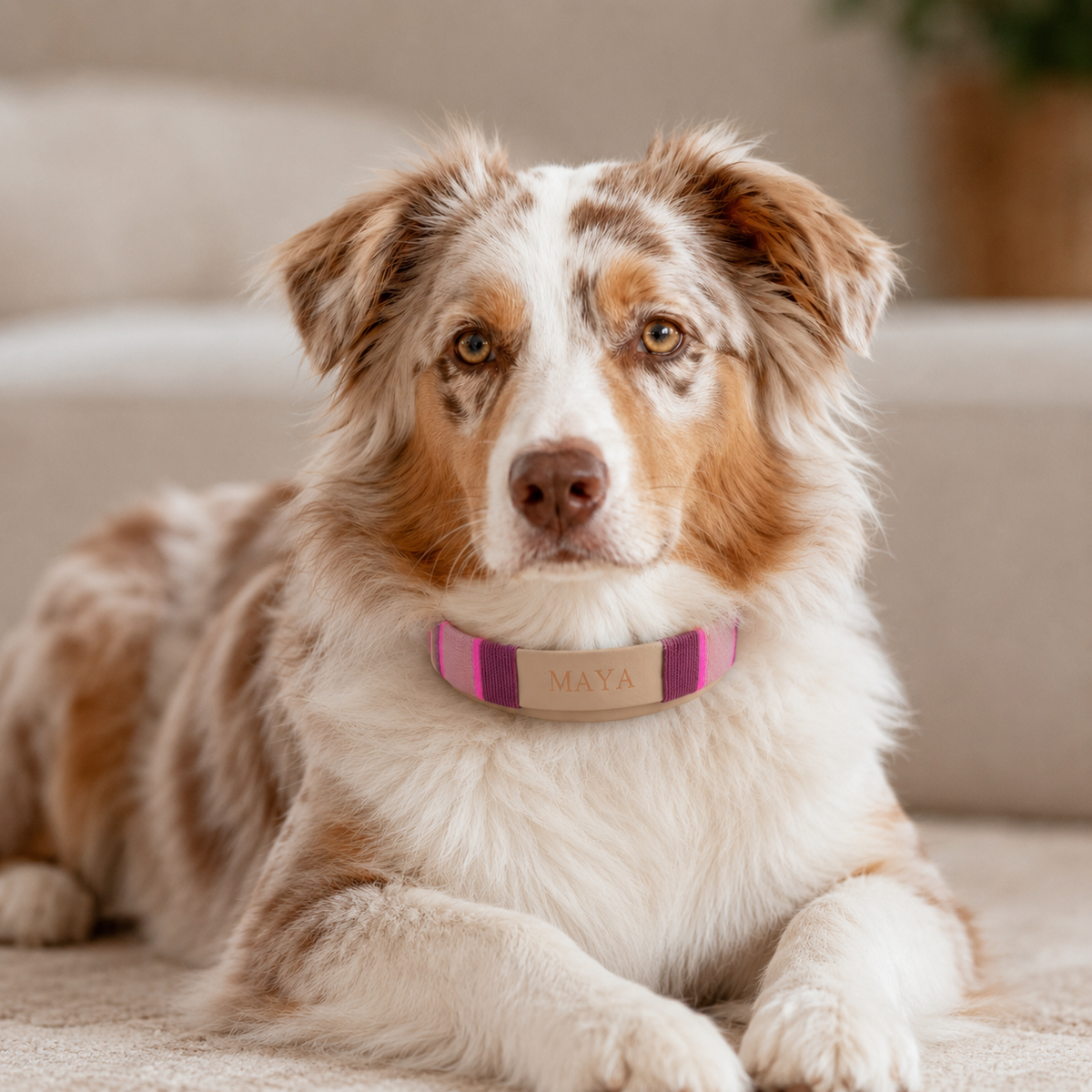 PUPPYROPE Halsbänder Kategoriebanner