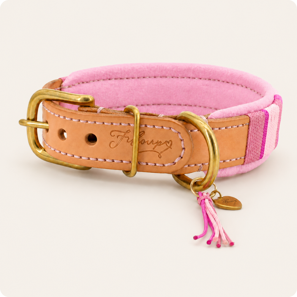Leder Halsband Amelie