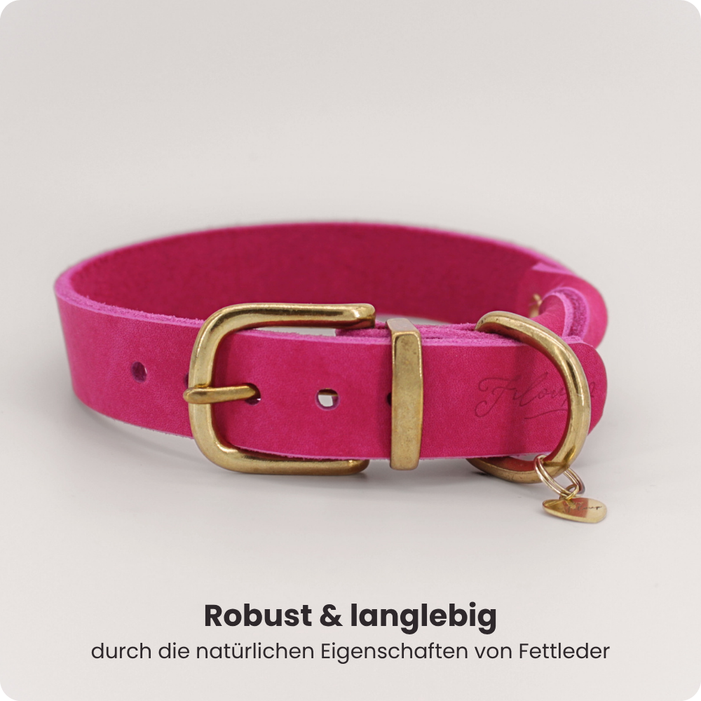 Fettleder Halsband Éloise