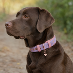 Biothane Halsband-Leine-Set Cherie Double