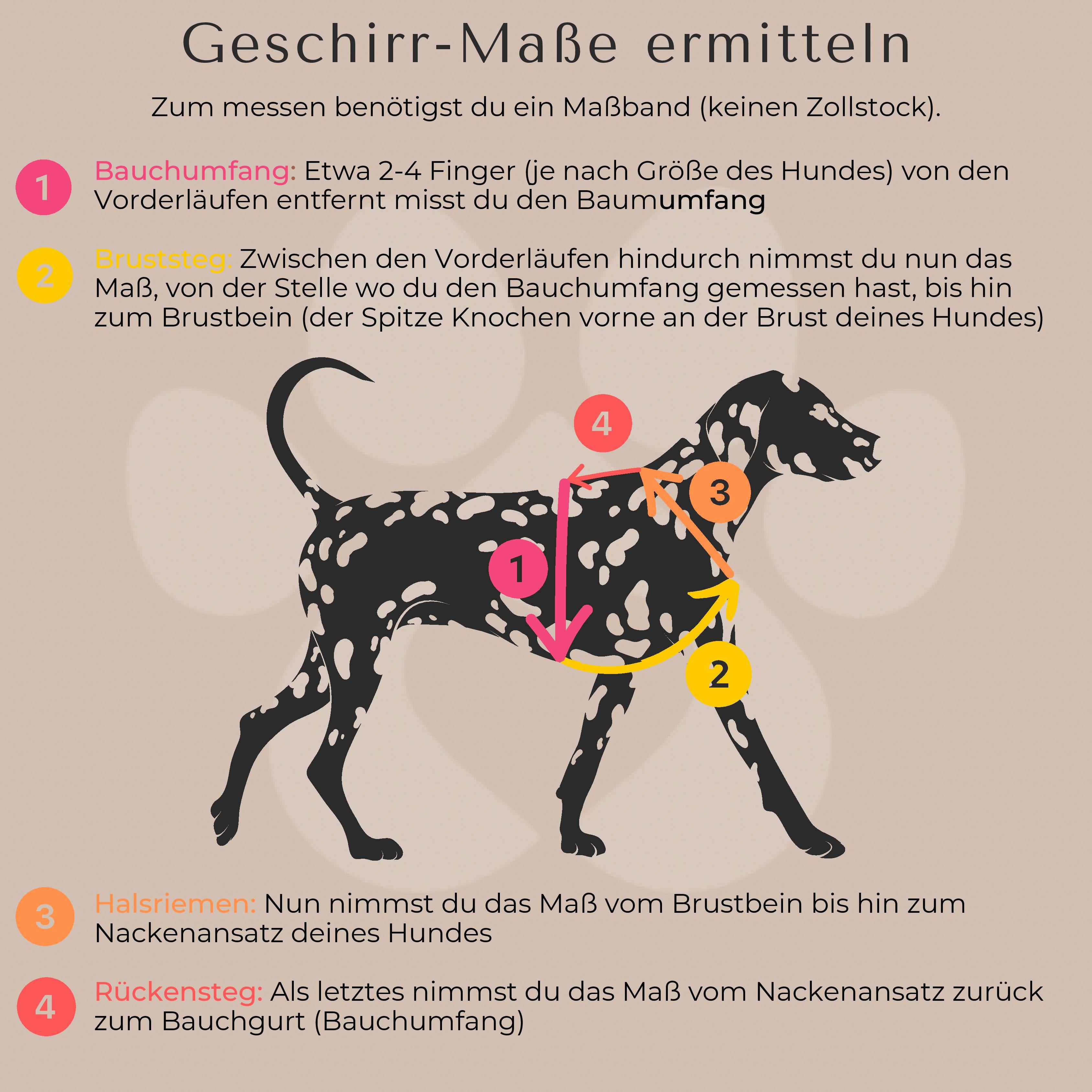 PUPPYROPE®: GEschirr-Maße ermitteln Banner