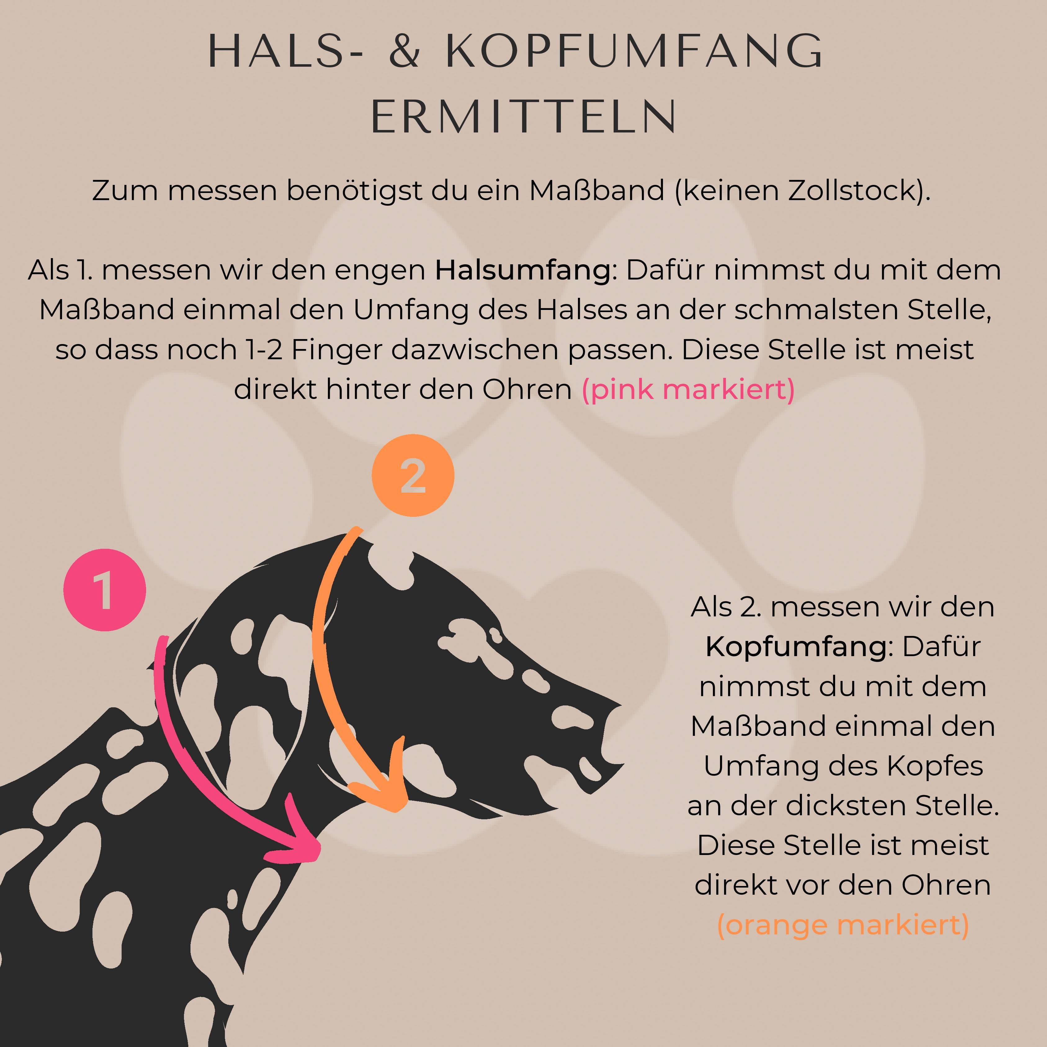 PUPPYROPE®: Hals- & Kopfumfang ermitteln Banner