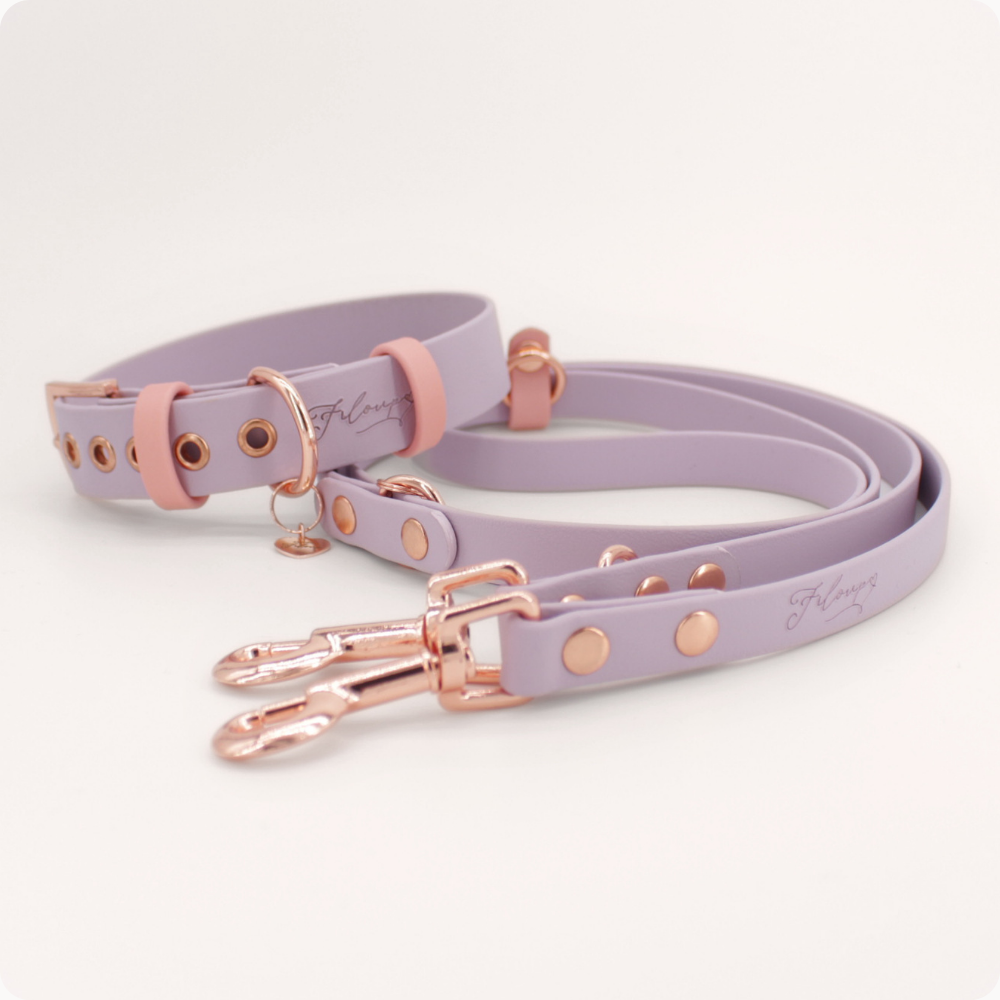 Biothane Halsband-Leine-Set Cherie