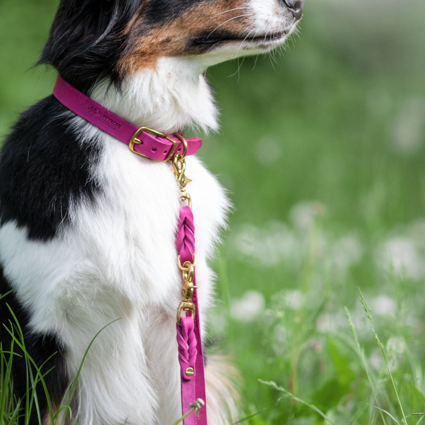 Leine Asuna - Konfigurator - PUPPYROPE MANUFAKTUR®