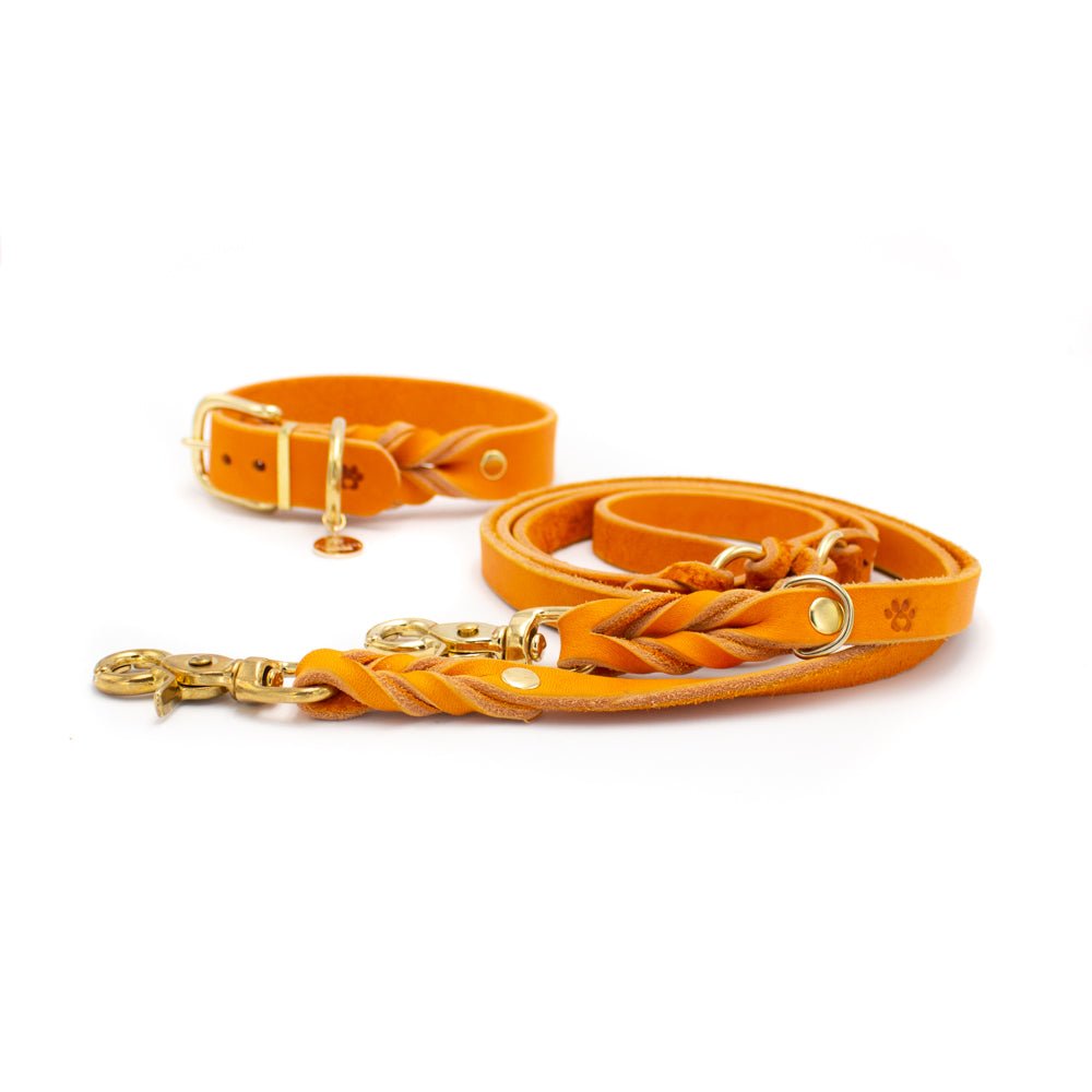 Set Asuna - PUPPYROPE MANUFAKTUR®