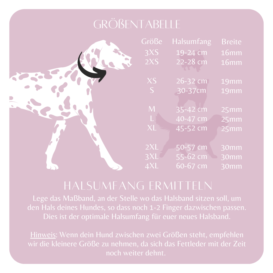 Set Mila Double - Konfigurator - DIES HUND DAS by PUPPYROPE